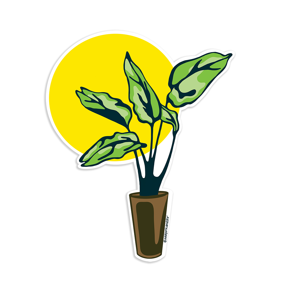 Plant Aesthetic Sticker | Weatherproof, Vinyl Sticker
