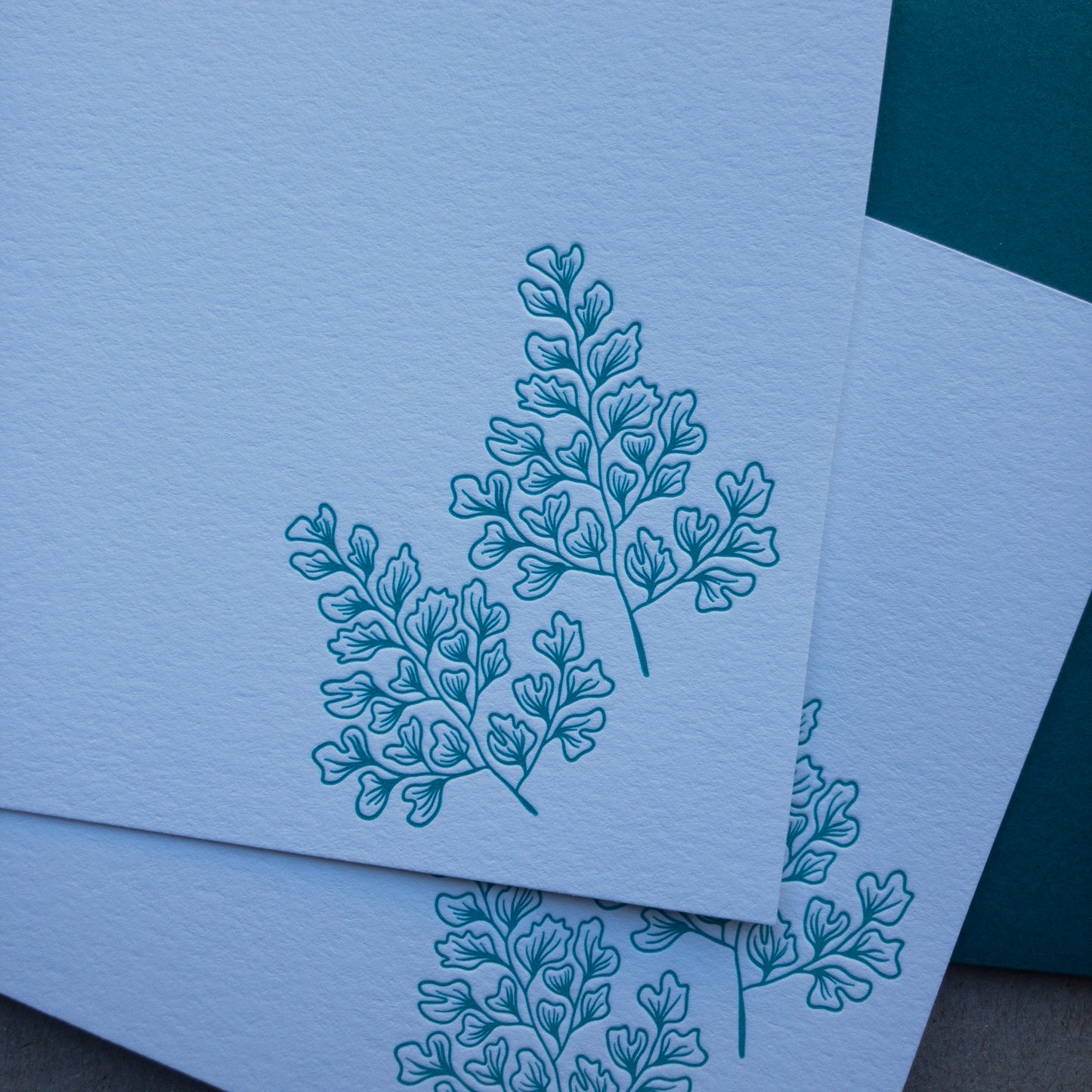 Fern Flat card | Notecard Set of 10