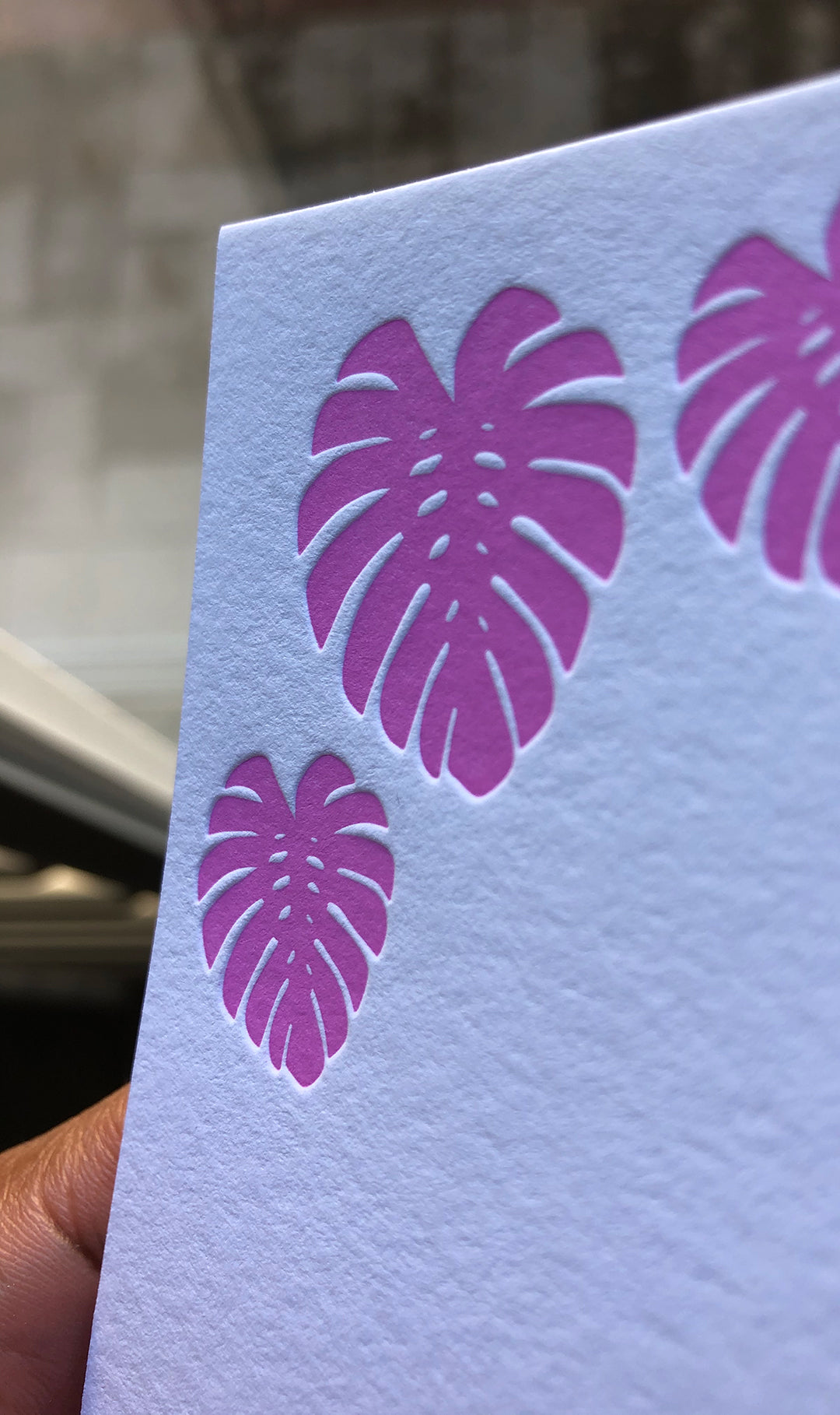 Monstera Leaf Note Cards (Solid) | Notecard set of 10