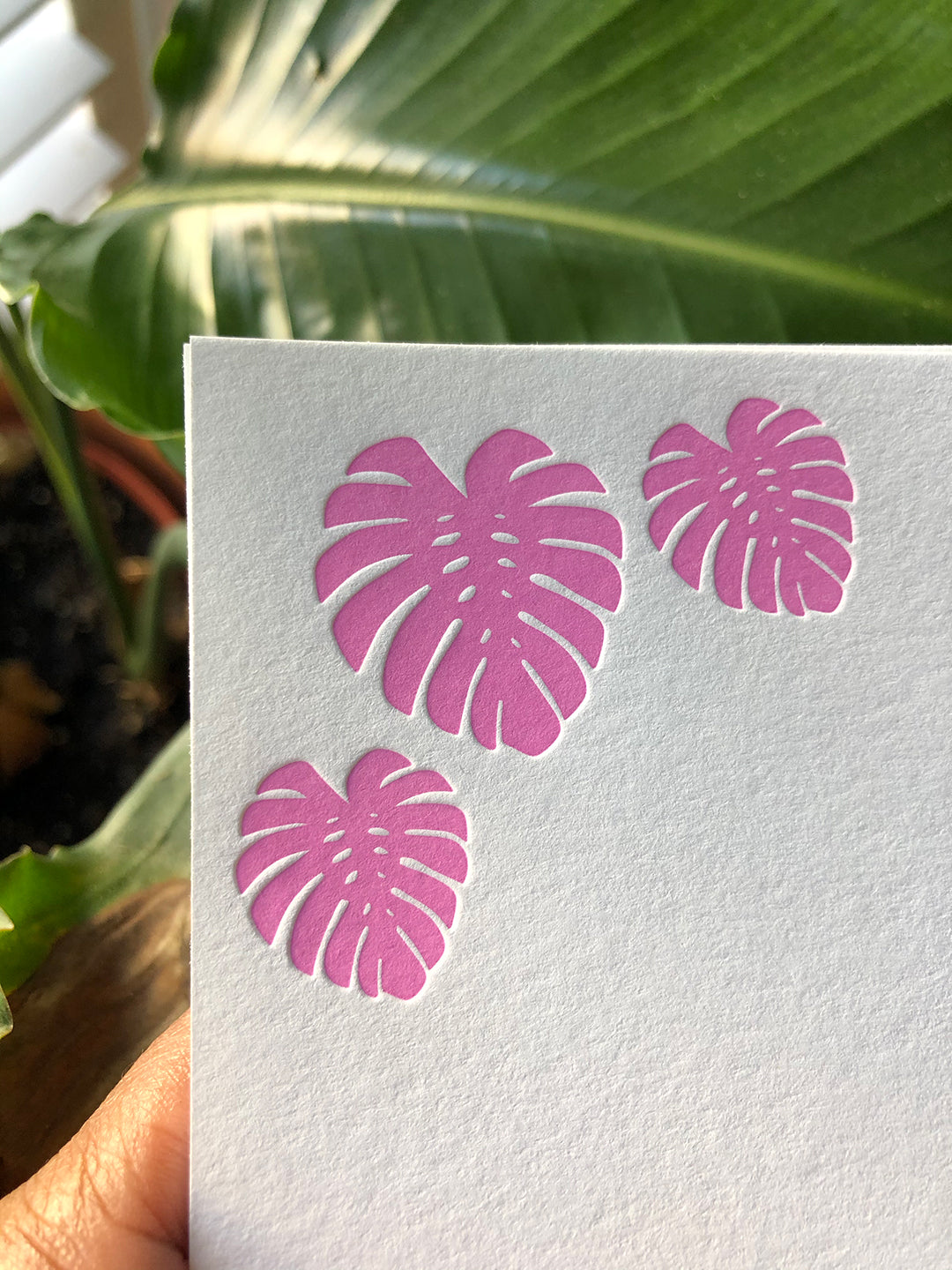 Monstera Leaf Note Cards (Solid) | Notecard set of 10