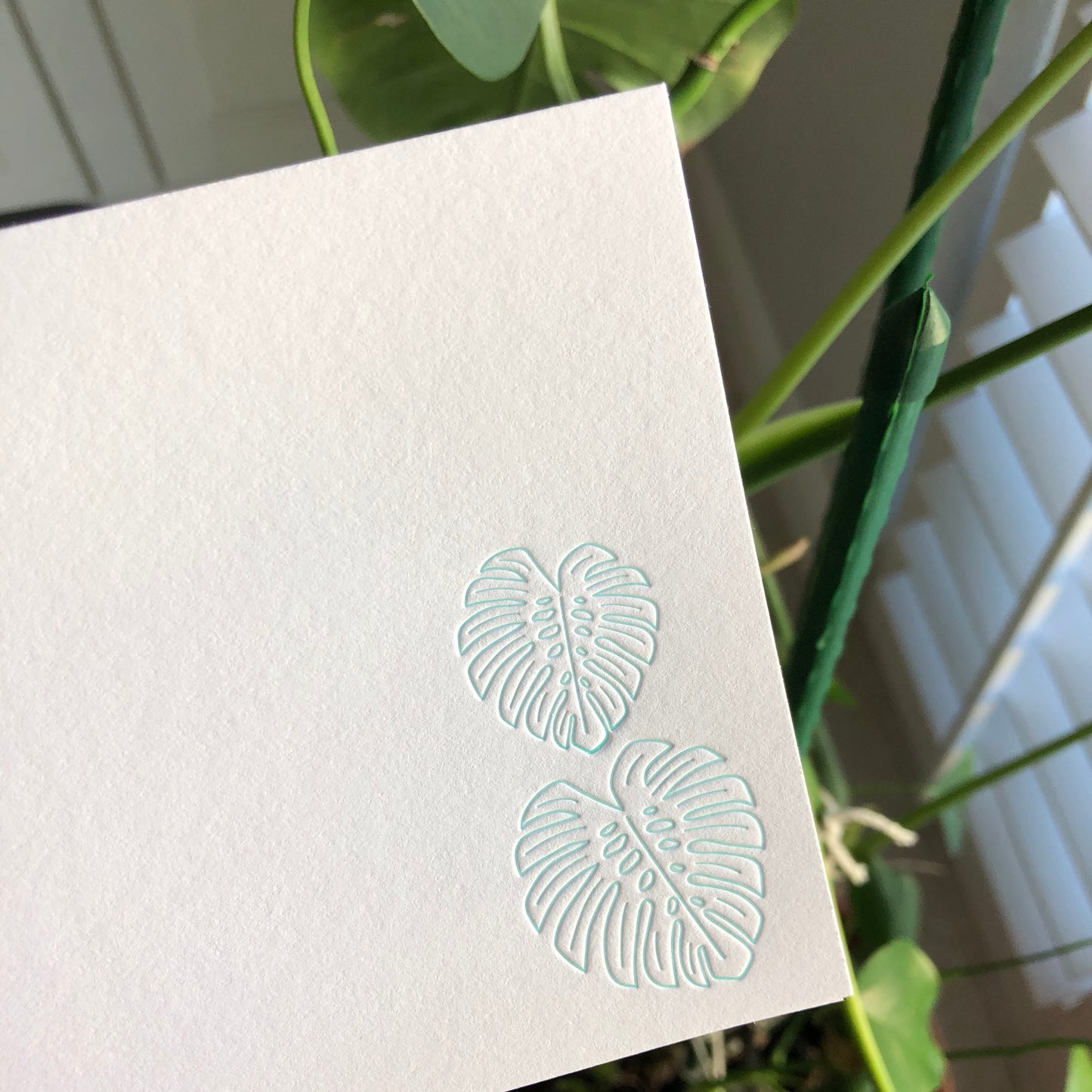 Monstera Leaf Note Cards | Notecard set of 10